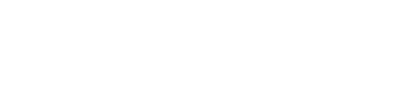 logo directech ecuador w